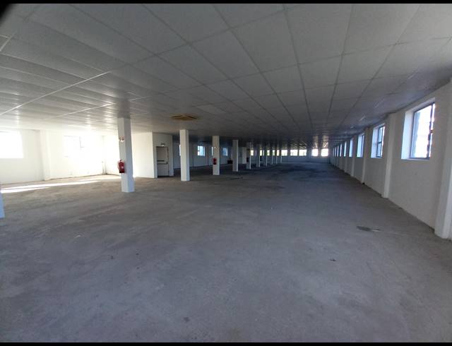 828M² FULL FLOOR TO LET IN OAKDALE